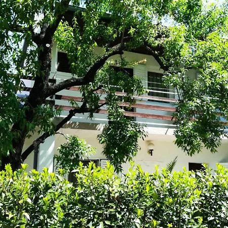 Felix Apartment Biograd 比奥格勒·纳·莫鲁 外观 照片
